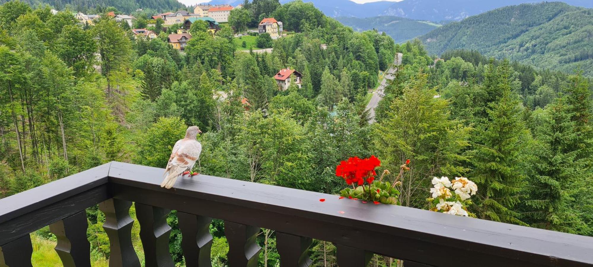 Kurhotel Renona Rehabilitation Semmering Zewnętrze zdjęcie