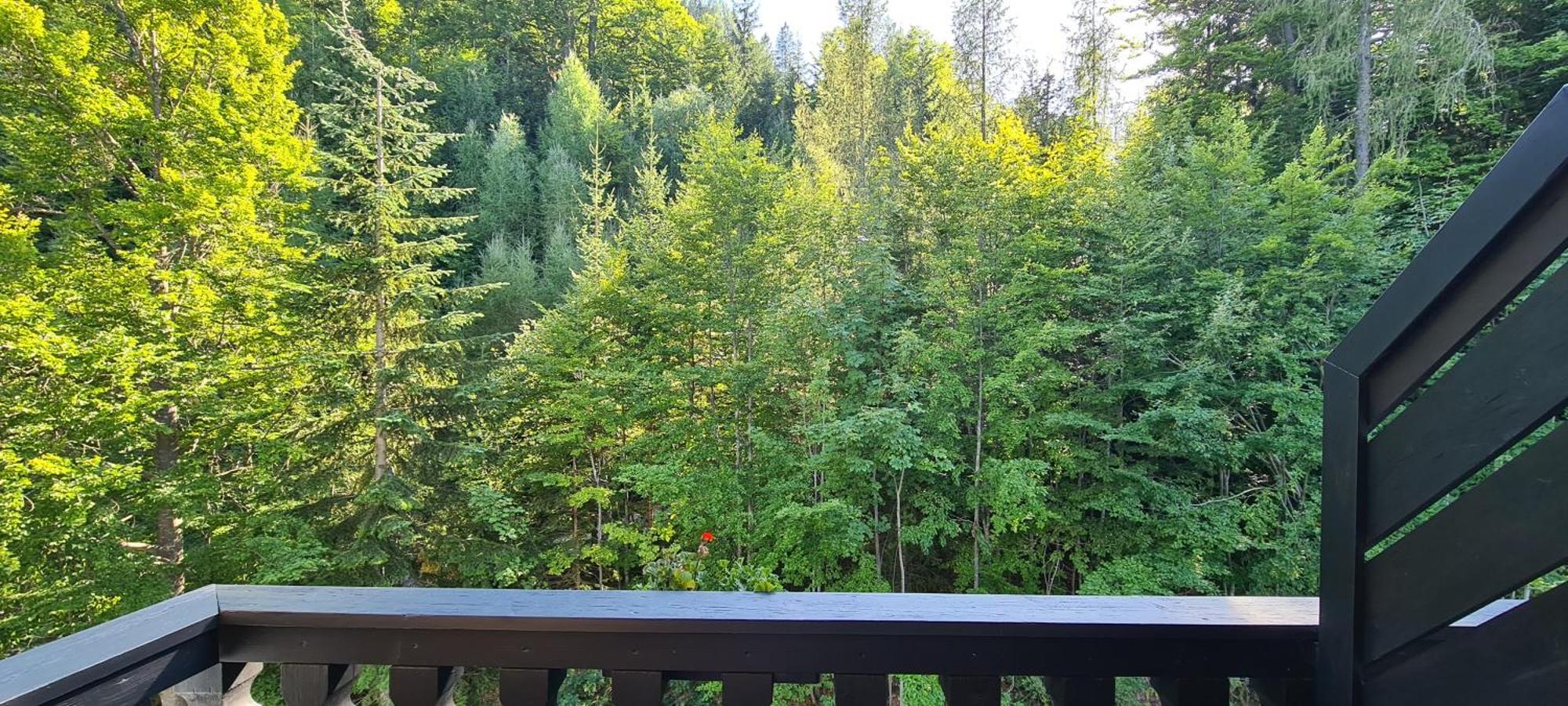 Kurhotel Renona Rehabilitation Semmering Zewnętrze zdjęcie
